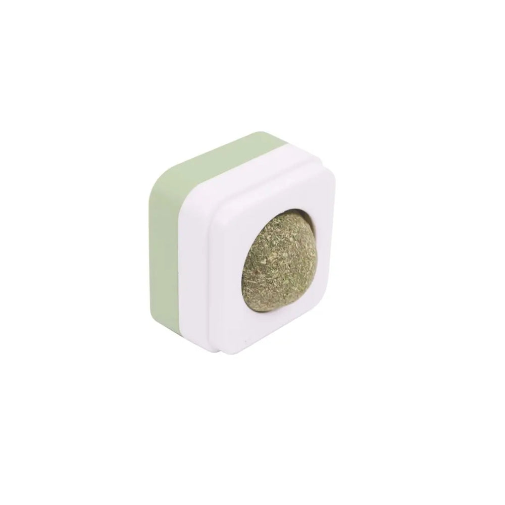 M-Pets Fruity Catnip Ball Cat Toy for Playful Cats