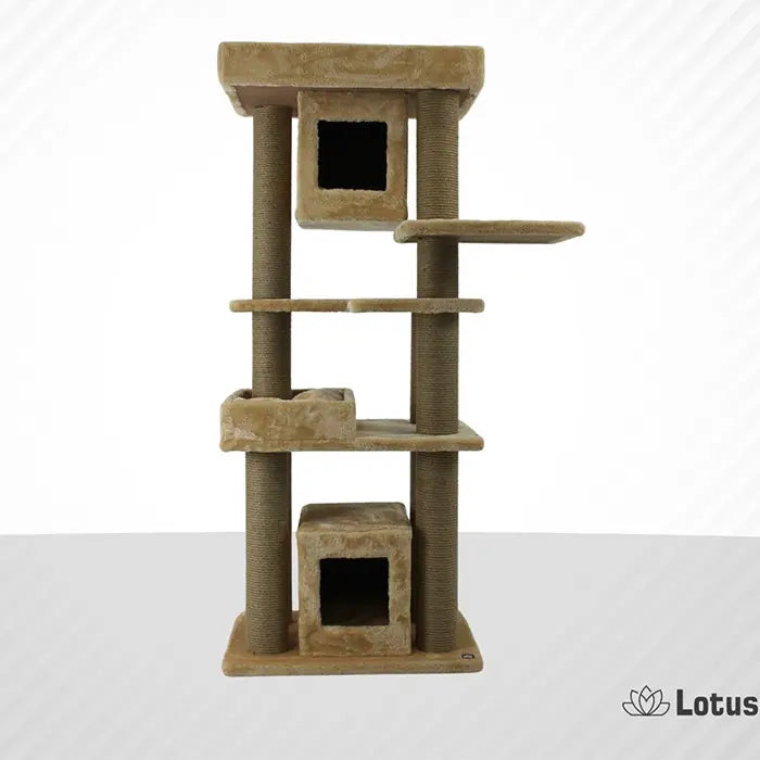 Lotus Pet Design Brussels Honey Cat Scratching Post 1 Unit