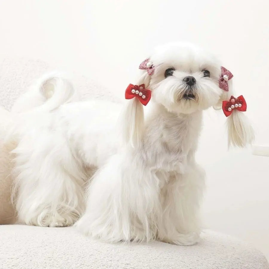M-Pets Glam Bow Accessory Clip for Cats and Dogs 1 pc