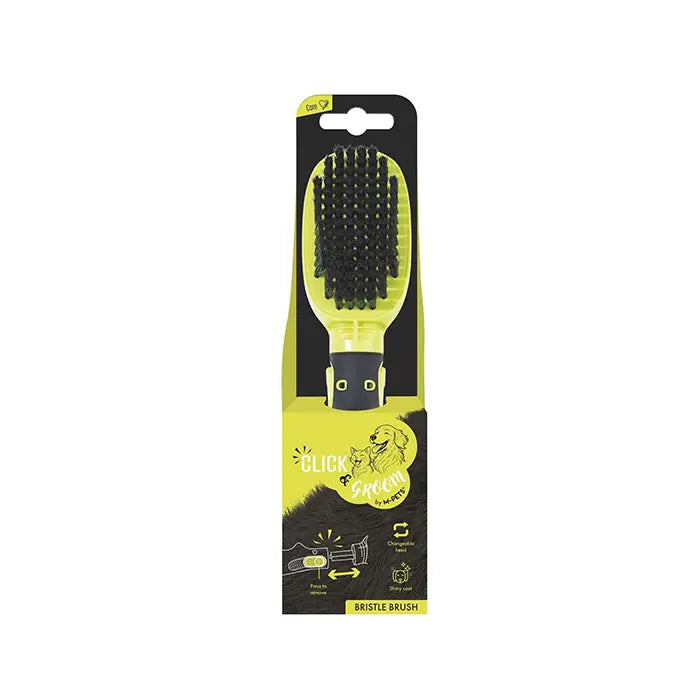 M-Pets Click And Groom Bristle Brush for Cats & Dogs