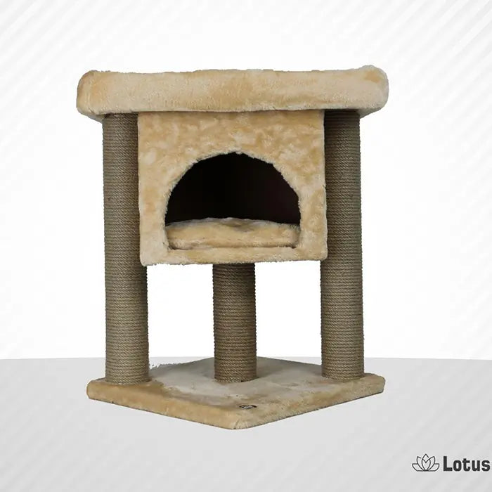 Lotus Pet Design Izmir Honey Cat Scratcher Post 1 Unit