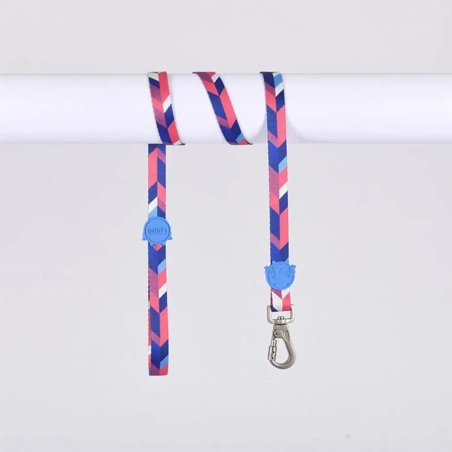 Lindo Pink Dream Dog Leash Durable Small 15mm x 120cm