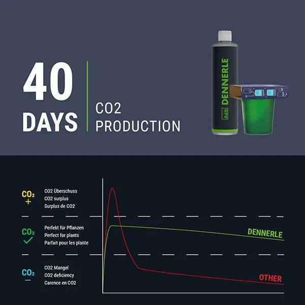 Dennerle Carbo Bio Start 60 Yeast CO2 Set