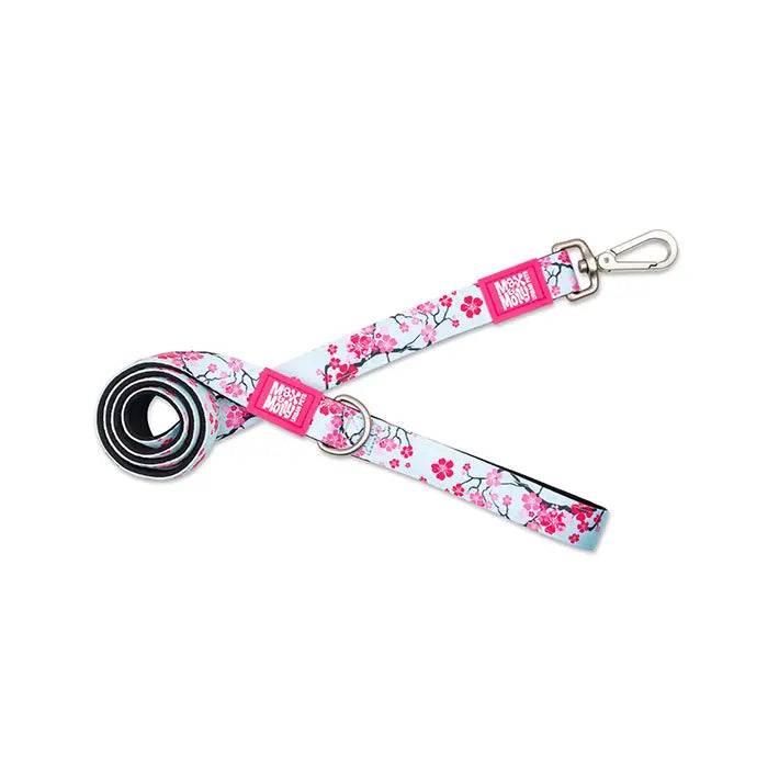 Max & Molly Cherry Bloom Dog Leash for Small Breeds