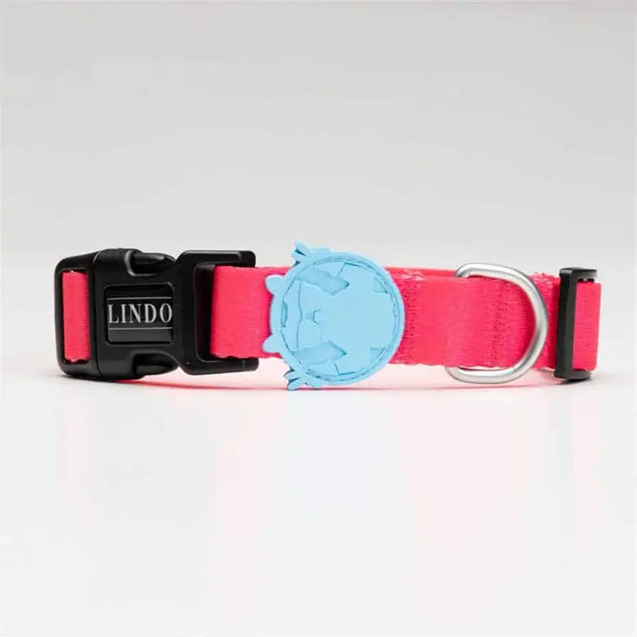 Lindo Bubble Dog Collar Large Size for 46-70cm Neck Measurement