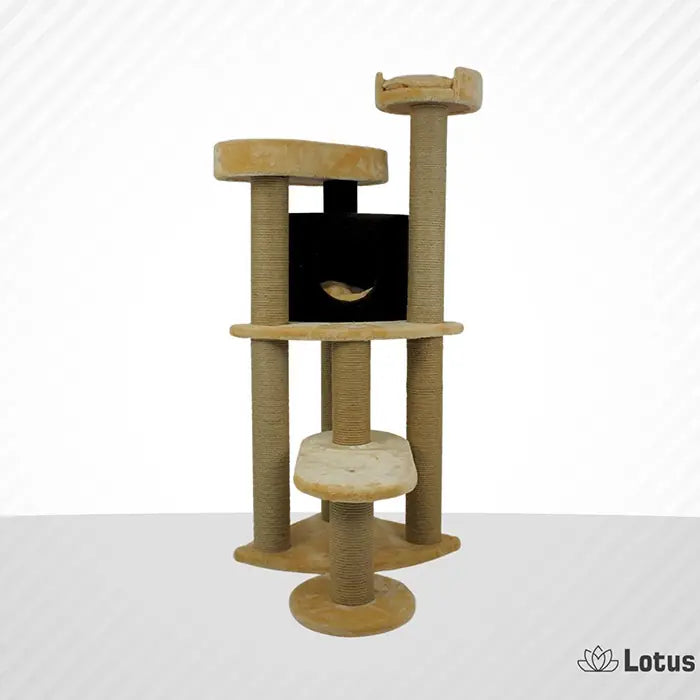 Lotus Pet Design Roma Honey Cat Scratcher for Play & Rest