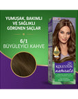 Wella Koleston Naturals Maxi Charming Brown 6/1 Hair Color