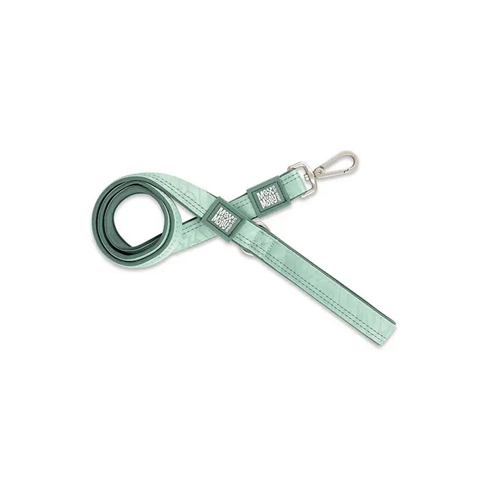 Max & Molly Matrix 2.0 Jade Dog Leash Small 120cm