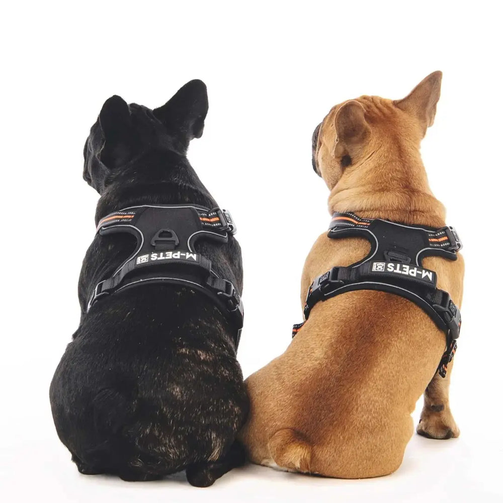 M-Pets Hiking Reflective Soft Dog Harness Orange Small