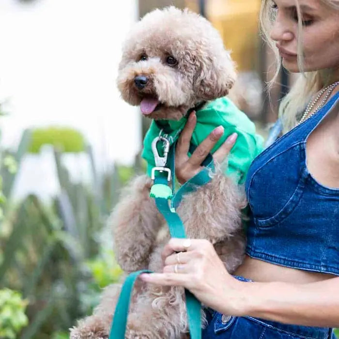 Lindo Make Today Amazing Flex Dog T-Shirt - Lightweight and Comfortable