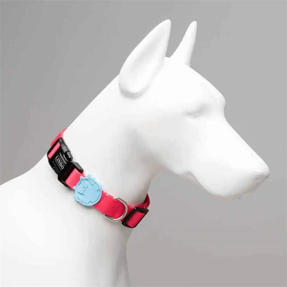 Lindo Bubble Dog Collar Large Size for 46-70cm Neck Measurement