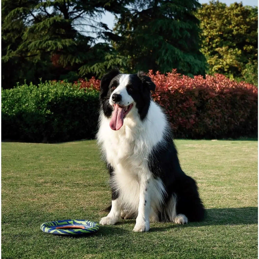 M-Pets Sprintpuff Flying Disc Dog Toy for Active Play