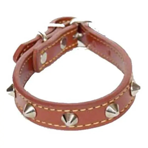 Eastland Metal Accessory Leather Dog Collar 31 cm
