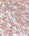 Influence Beauty Neostylus Eyeshadow Pencil 08
