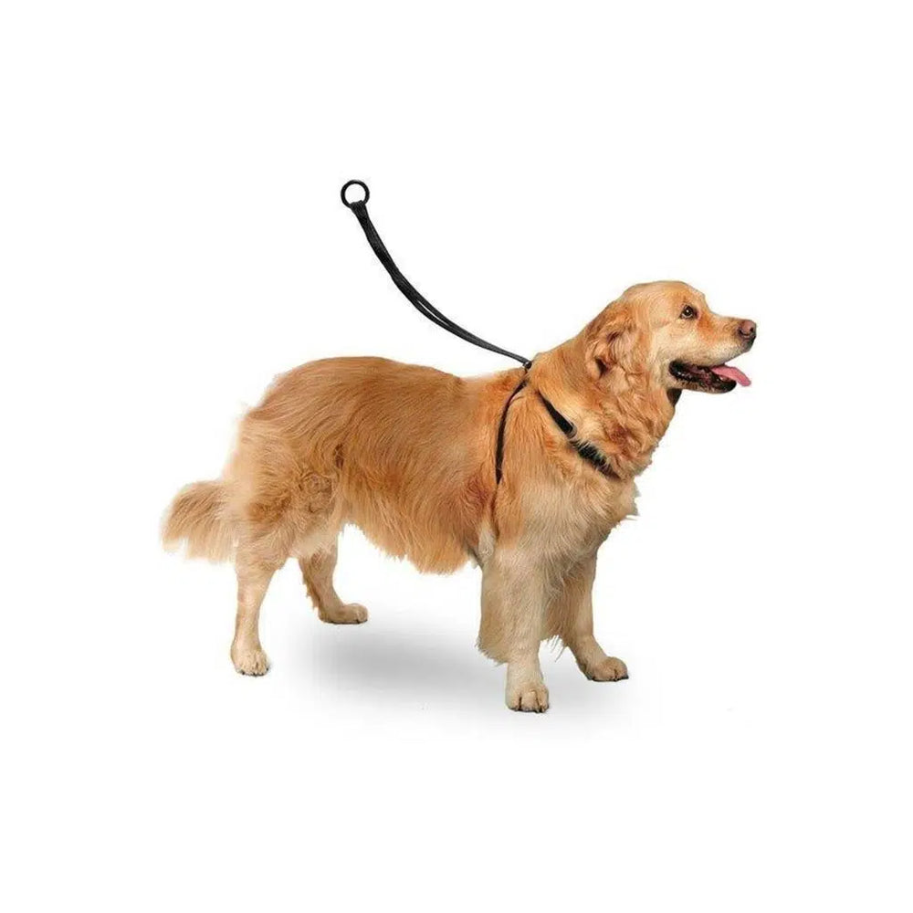 Karlie Easy Walker Dog Harness for Better Control Large 40-58 cm