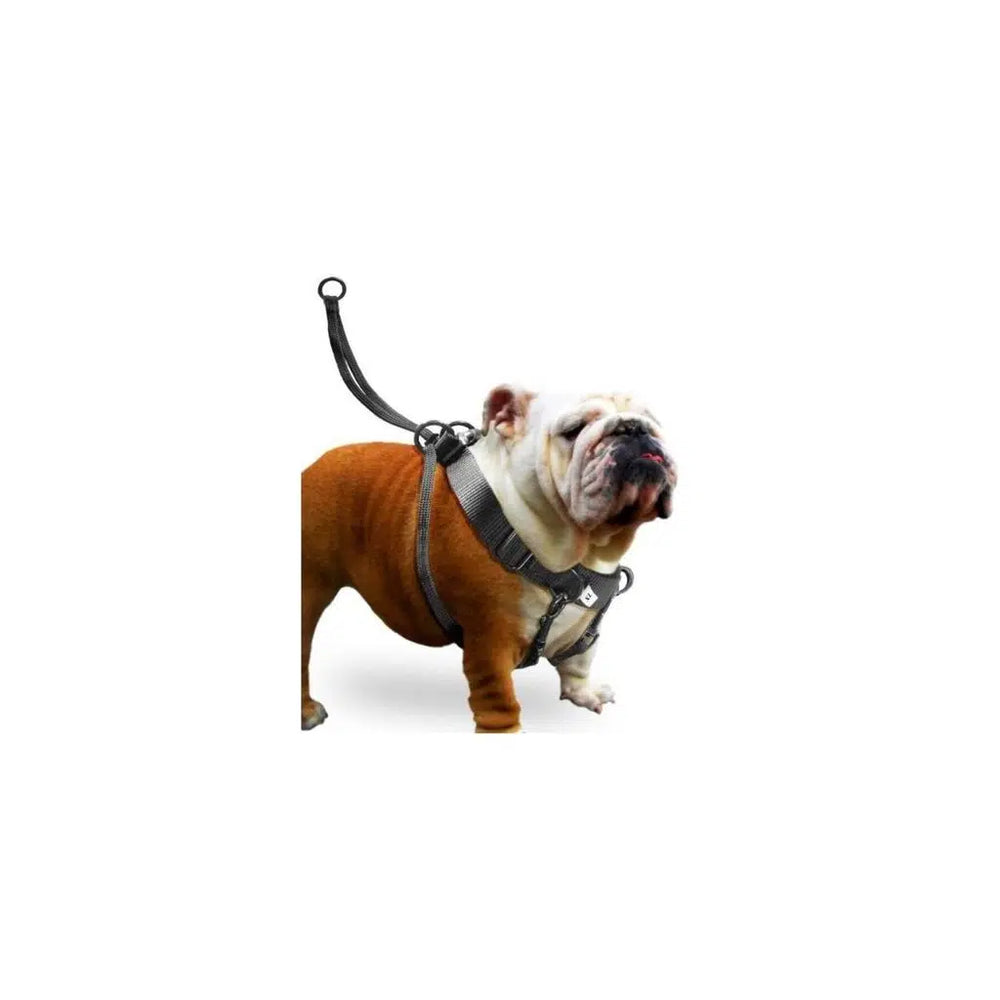 Karlie Easy Walker Dog Harness for Large Breeds 52-84 cm