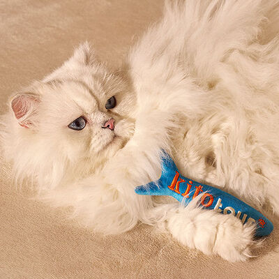 Kito Fish Plush Cat Toy Soft Hunting Instinct Support
