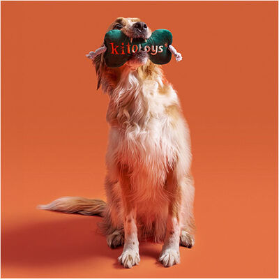 Kito Bone Plush Dog Toy Soft Interactive Play Companion