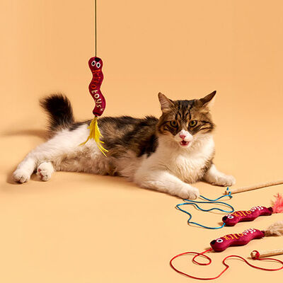 Kito Worm Plush Cat Toy Interactive Hunting Play 1 pc