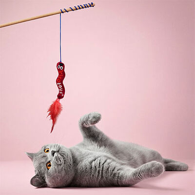 Kito Worm Plush Cat Toy Interactive Hunting Play 1 pc