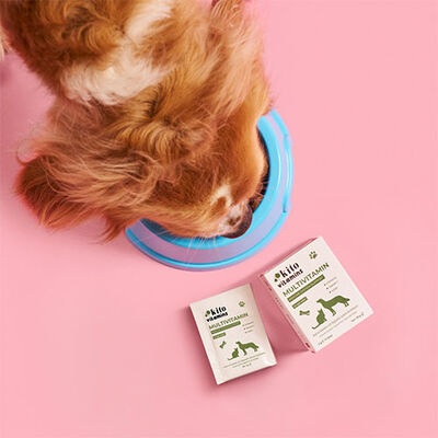 Kito Immune Support Multivitamin for Cats & Dogs 2x15g