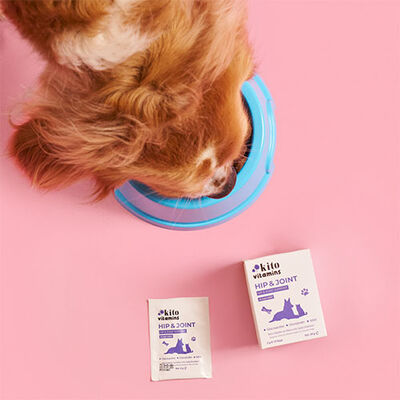 Kito Hip & Joint Multivitamin Powder for Cats & Dogs 2x15g