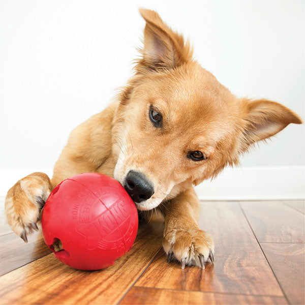 KONG Biscuit Ball Durable Rubber Snack Dispenser Toy Small