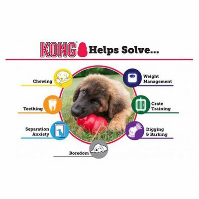 Kong Classic Natural Rubber Dog Toy Durable Chew Toy Medium 9cm