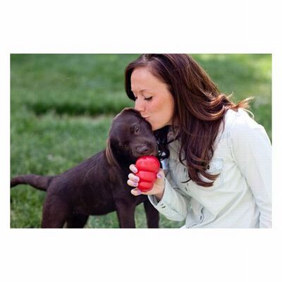 Kong Classic Rubber Dog Toy Durable Red Chew Toy XS 6cm