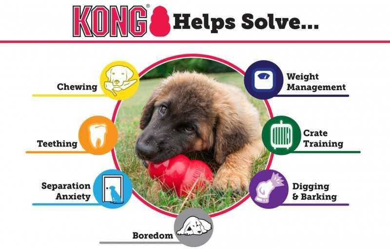 Kong Classic Red Rubber Dog Toy for Large Breeds