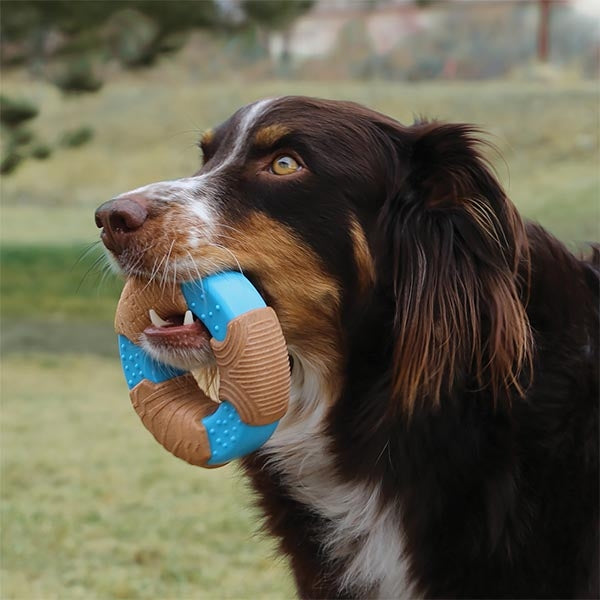 KONG CoreStrength Ring Dog Toy Durable Chewing Support 12.7 cm