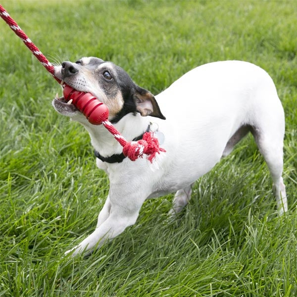 KONG Dental Rubber Dog Toy with Rope for Oral Care Medium