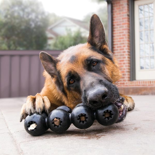 KONG Extreme Multi-Ball Ultra Durable Rubber Dog Toy Large