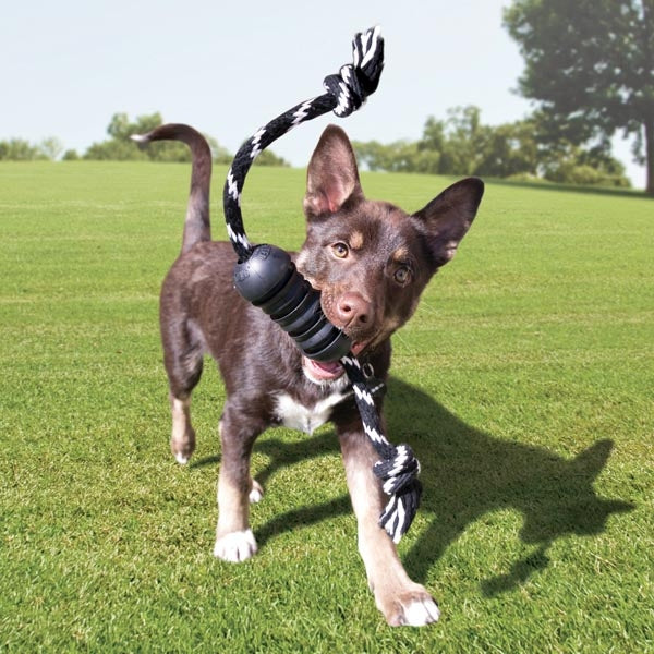 KONG Extreme Dental Rope Dog Toy Durable Rubber Size M