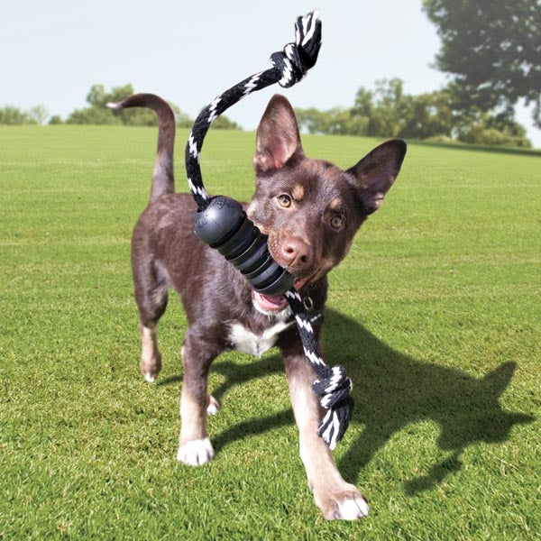 KONG Extreme Dental Rubber Dog Toy for Strong Chewers Large
