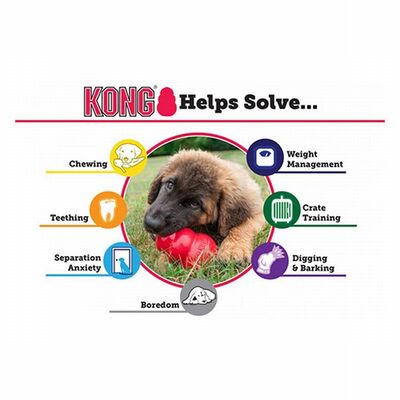 KONG Extreme Rubber Dog Toy Ultra Durable Chew XL 13cm