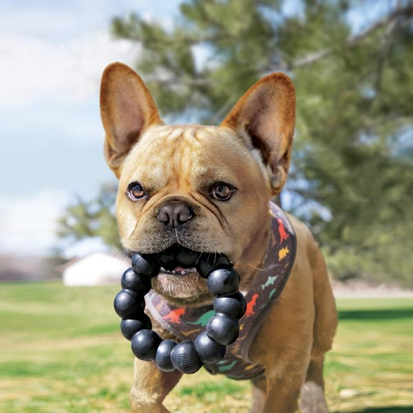 KONG Extreme Ring Ultra Durable Rubber Dog Toy XL Black