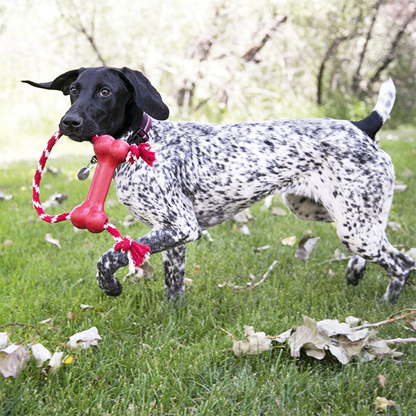 KONG Goodie Bone with Rope Durable Rubber Dog Toy Medium