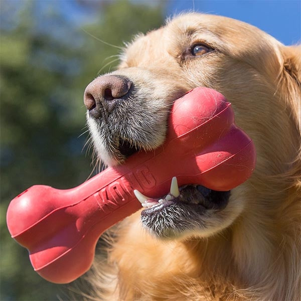 KONG Goodie Bone Durable Rubber Dog Toy for Chewing 18 cm