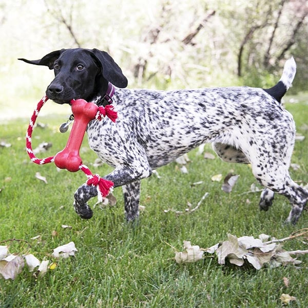 KONG Goodie Bone Rubber Dog Toy with Cotton Rope 8.2 cm