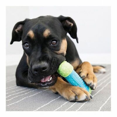 KONG Core Strength Durable Dog Chew Toy for Teeth Cleaning 17.5cm