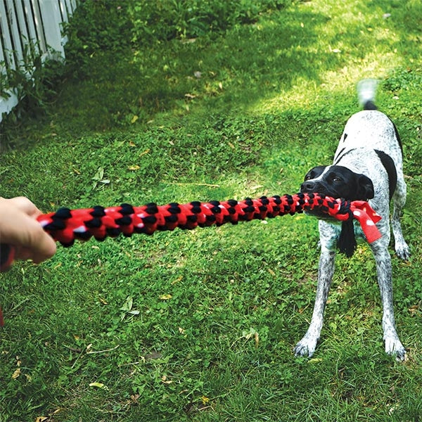 KONG Signature Rope Double Knot Dog Tug Toy 50 cm