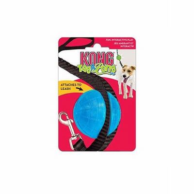 KONG TagAlong Leash-Attachable Ball Dog Toy Medium