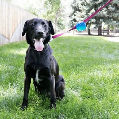 KONG TagAlong Leash-Attachable Ball Dog Toy Medium