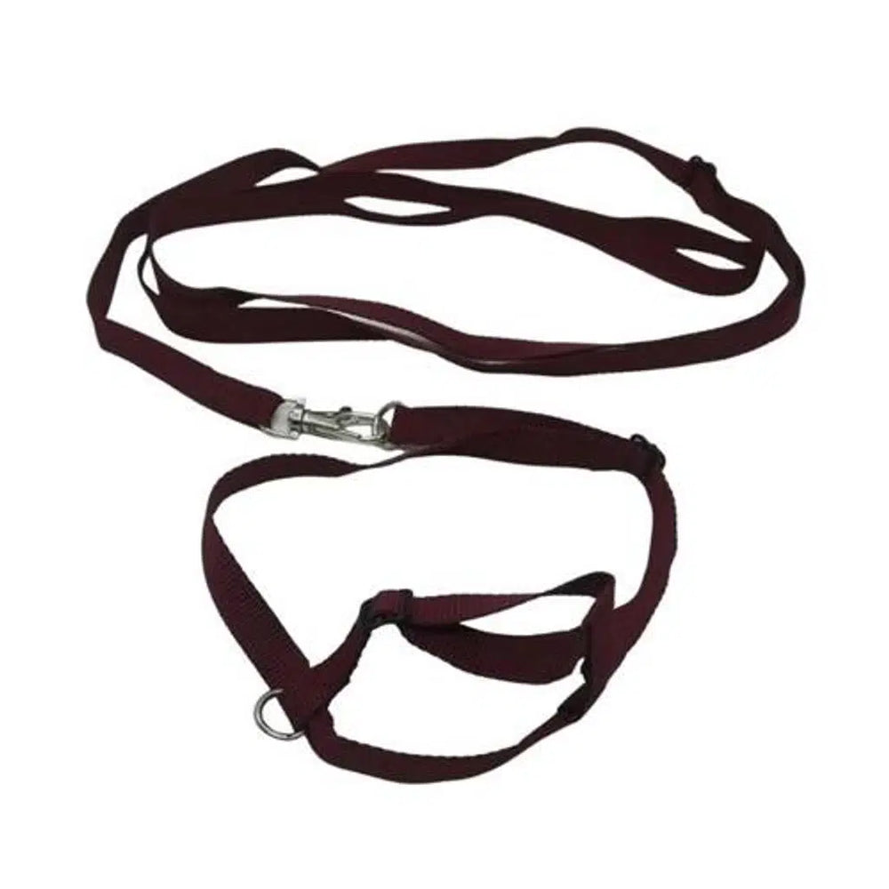 Elit Bird Harness and Leash for Outdoor Training