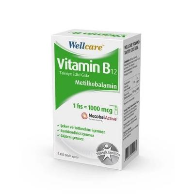 Wellcare Vitamin B12 Supplement - Methylcobalamin Energy Support 5ml - Vitamin & Supplement