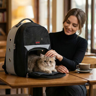 Lepus Astronaut Pet Carrier for Cats and Small Dogs Grey