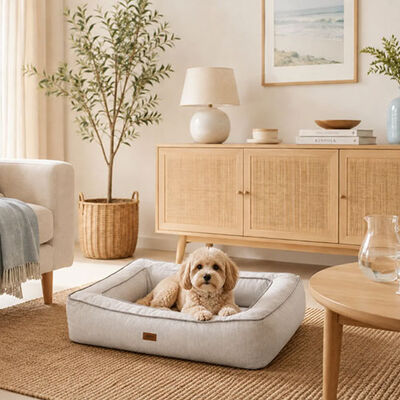 Lepus Comfort Visco Pet Bed Supporting Grey Medium 80x55cm