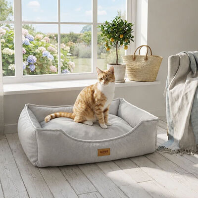 Lepus Dolce Premium Pet Bed Soft Baby Face Fabric Small Light Gray