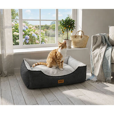 Lepus Dolce Premium Anthracite Pet Bed Soft Baby Face Fabric Medium